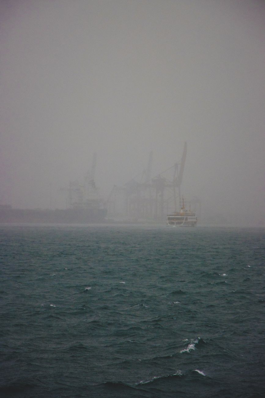 Foggy Harbor