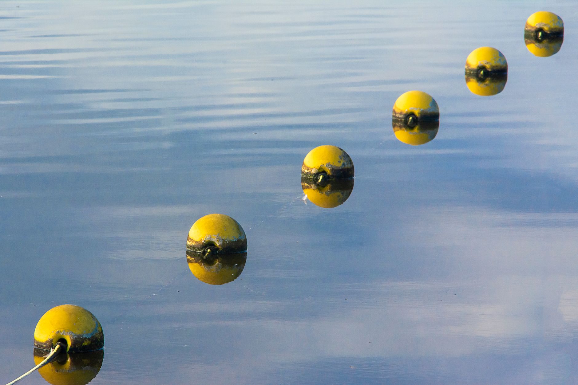 Buoy In Water